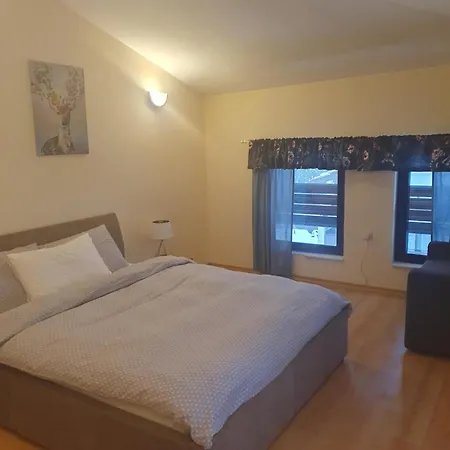 Sunny Apartment